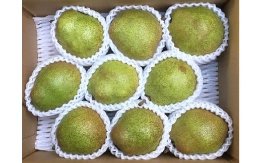 西洋梨(ラ・フランス)3kg ご家庭用 0134-2501 327030 - 山形県上山市
