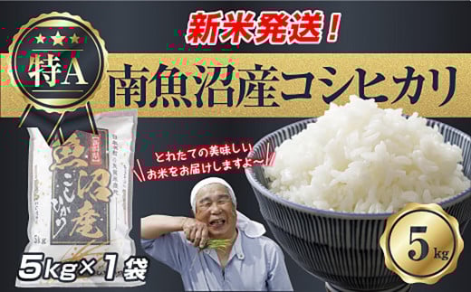 【新米発送】  令和7年産 新潟県 南魚沼産 コシヒカリ お米 5kg 精米済み（お米の美味しい炊き方ガイド付き） お米 こめ 白米 新米 こしひかり 食品 人気 おすすめ 送料無料 魚沼 南魚沼 南魚沼市 新潟県産 新潟県 精米 産直 産地直送 お取り寄せ【2025年10月上旬より順次発送予定】 451352 - 新潟県南魚沼市