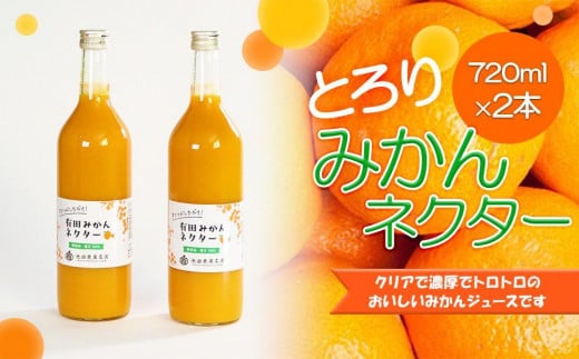 とろり みかんネクター 720ml×2本［IKE225］ 2071203 - 和歌山県和歌山市