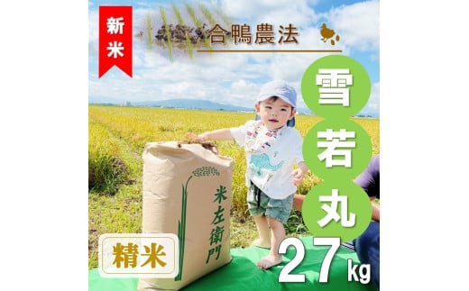 【令和7年産・精米】ecofarmすがわらの合鴨農法雪若丸27kg※10月下旬頃から順次配送 1981820 - 山形県三川町