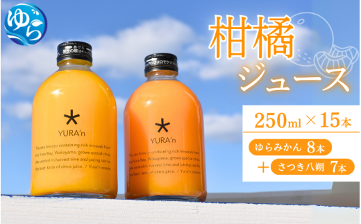 ＼レビューキャンペーン中／柑橘ジュース（ゆらみかんとさつき八朔）250ミリ×15本 / 和歌山県 柑橘 みかん 蜜柑 フルーツ 果物 くだもの 食品 人気 由良町 晩柑 おすすめ 送料無料 産地直送 由良町産 ドリンク【kzmn016】 902968 - 和歌山県由良町