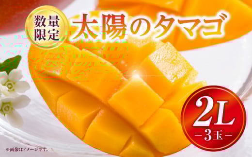 《2025年発送》【期間・数量限定】太陽のタマゴ 2Lサイズ 3玉_M354-001-01 1951626 - 宮崎県宮崎市