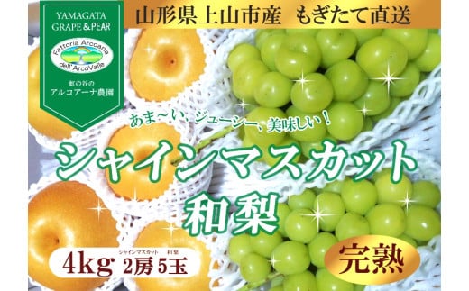【直送便】完熟シャインマスカットと和梨セット（大）　0148-2510 1063957 - 山形県上山市