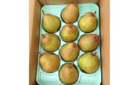 西洋梨(ラ・フランス)3kg 0007-2501 337954 - 山形県上山市