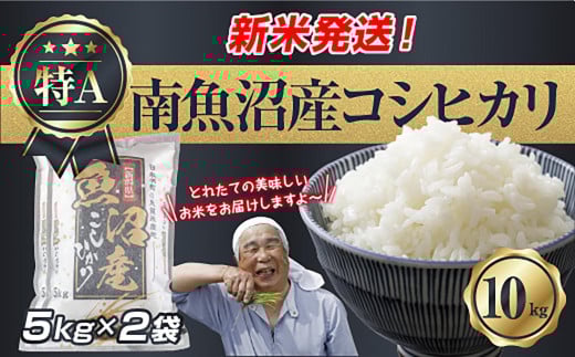 【新米発送】  令和7年産 新潟県 南魚沼産 コシヒカリ お米 5kg×2袋 計10kg 精米済み（お米の美味しい炊き方ガイド付き） お米 こめ 白米 新米 こしひかり 食品 人気 おすすめ 送料無料 魚沼 南魚沼 南魚沼市 新潟県産 新潟県 精米 産直 産地直送 お取り寄せ【2025年10月上旬より順次発送予定】 459645 - 新潟県南魚沼市
