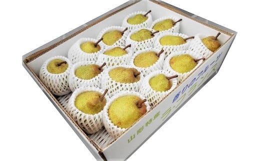 西洋梨(ラ・フランス)5kg 0040-2504 314569 - 山形県上山市