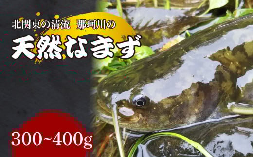 天然なまず(切り身) 北関東の清流「那珂川産」 300g～400g 真空冷凍 | 天然 鯰 ナマズ 鮮魚 新鮮 北関東 清流 天ぷら から揚げ 味噌漬け焼き アヒージョ Riverline 栃木県 茂木町 2090642 - 栃木県茂木町
