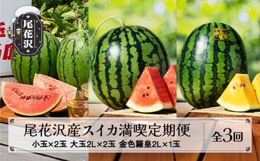 先行予約 尾花沢産スイカ満喫定期便 金色羅皇 全3回 7月中旬〜8月中旬頃発送 2025年産 令和7年産 kb-tksux