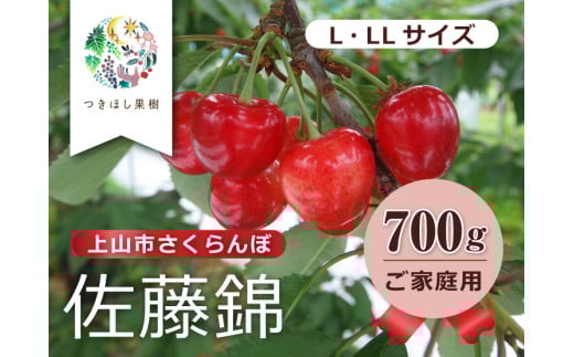 さくらんぼ（佐藤錦）７００ｇ（３５０ｇ×２パック）ご家庭用　0140-2501 1331127 - 山形県上山市