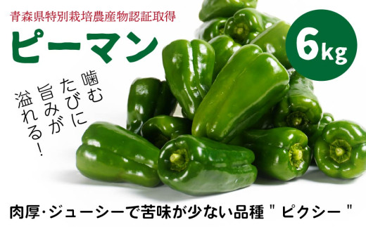【青森県特別栽培】ピーマン 6kg ピクシー 【8月上旬～10月前半発送】