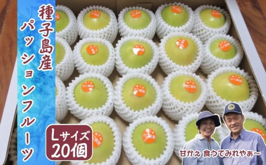 種子島  黄色い パッションフルーツ さご農園 (20個入り)　NFN600 【450pt】 // 夏期限定 安心・安全 