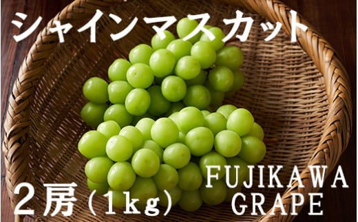 【2025年発送分】【FUJIKAWA GRAPE】シャインマスカット　１ｋｇ（２房）　シャイン マスカット ぶどう 葡萄 ブドウ 果物 くだもの フルーツ 山梨 やまなし 富士川町