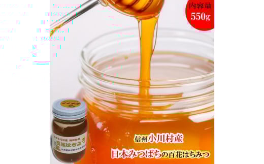 255＊日本みつばち　百花はちみつ550ｇ 1126463 - 長野県小川村