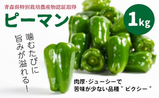 【青森県特別栽培】ピーマン 1kg ピクシー 【8月上旬～10月前半発送】 2003689 - 青森県八戸市