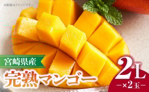 《2025年発送》宮崎県産完熟マンゴー 2L×2玉_M320-007