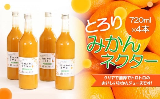 とろり みかんネクター 720ml×4本［IKE227］ 2071205 - 和歌山県和歌山市