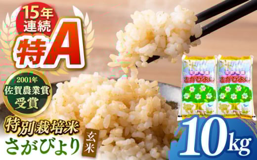 【特別栽培米】令和6年産 ももちゃんちのお米 さがびより 玄米 10kg【ももさき農産】 [HCG005]