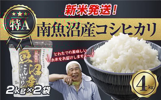 【新米発送】 令和7年産 新潟県 南魚沼産 コシヒカリ お米 2kg×2袋 計 4kg 精米済み（お米の美味しい炊き方ガイド付き） お米 こめ 白米 新米 こしひかり 食品 人気 おすすめ 送料無料 魚沼 南魚沼 南魚沼市 新潟県産 新潟県 精米 産直 産地直送 お取り寄せ【2025年10月上旬より順次発送予定】 451348 - 新潟県南魚沼市