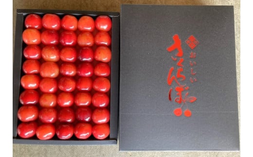 さくらんぼ(佐藤錦) お化粧詰め 特秀品 300g 0044-2503 568543 - 山形県上山市