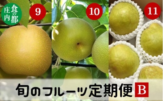 食の都庄内　《9・10・11月お届け-B》旬のフルーツの3ヶ月定期便 2015084 - 山形県三川町
