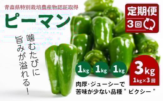 【3回定期便】 【青森県特別栽培】ピーマン 1kg ピクシー 2003694 - 青森県八戸市