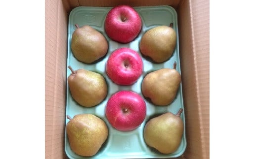 りんごとラ・フランス詰合せ 3kg 特秀品 贈答用 0007-2502 337955 - 山形県上山市