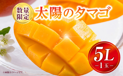 《2025年発送》【期間・数量限定】太陽のタマゴ 5Lサイズ 1玉_M354-001-04 1951629 - 宮崎県宮崎市