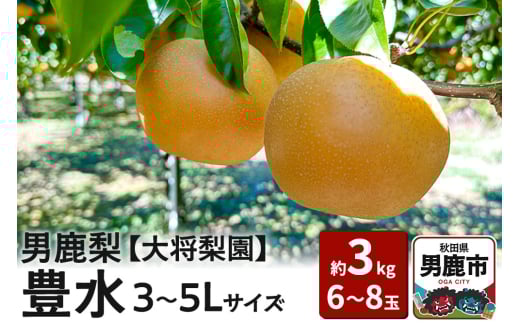 【先行受付】男鹿梨 「大将梨園」豊水 約3kg 6～8玉 3～5L 梨 秋田県 男鹿市