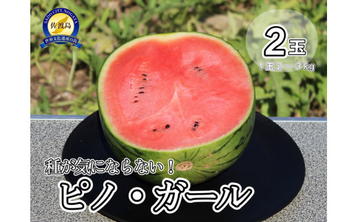 【先行予約】佐渡西三川・松丘農園の名産品小玉スイカ「ピノ・ガール」２個（1玉2～3kg） 948492 - 新潟県佐渡市