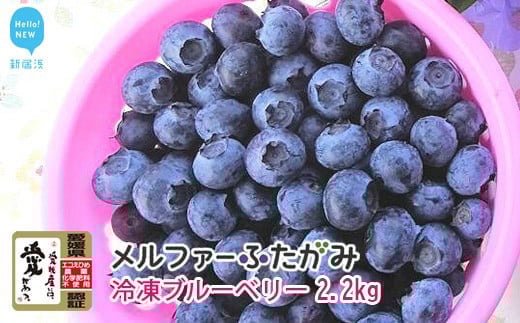 【先行予約】完熟ブルーベリー2.2kg（冷凍） 毎年人気の冷凍ブルーベリーです メルファーふたがみ