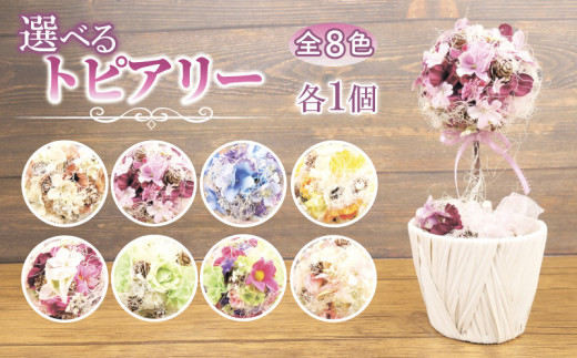 数量限定 限定品 トピアリー ブルー 花 インテリア フラワーアレンジメント ギフト 記念 お祝い 母の日 父の日 敬老の日 贈答用 プレゼント用 マゼンタ