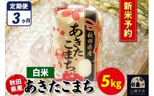 《令和7年産 新米受付》《定期便3ヶ月》あきたこまち 5kg×1袋【白米】秋田県産 こまちライン 2072193 - 秋田県横手市