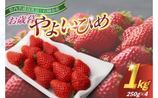 2025年12月より順次発送お歳暮やよいひめ250g(8～12粒)×4pc(県内共通返礼品:石岡市産 (BR032) 845965 - 茨城県城里町