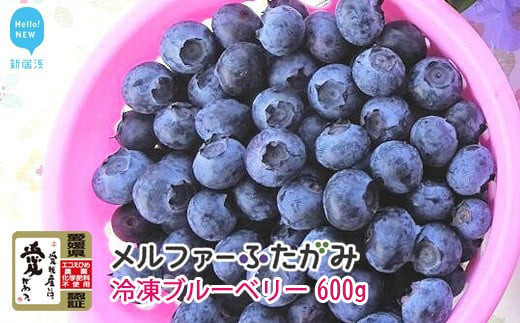 【先行予約】完熟ブルーベリー600g（冷凍）毎年人気の冷凍ブルーベリーです メルファーふたがみ