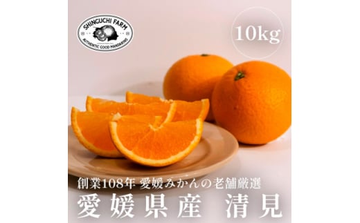 ＜2025年3月発送開始＞清見 10kg 愛媛みかんの老舗＜E70-15＞【1470710】