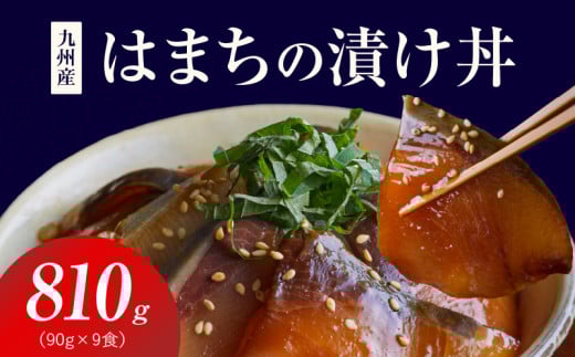 S155-003_九州産はまちの漬け丼 9食セット 2095310 - 熊本県天草市