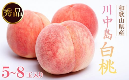 和歌山県産 川中島白桃 5～8玉入り 秀品 先行予約【2025年7月下旬以降発送】［MG7］ 2071657 - 和歌山県高野町