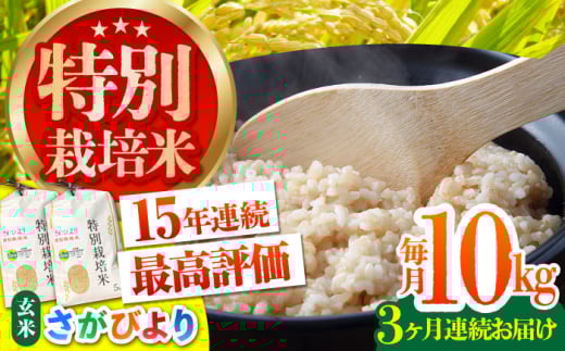 【先行予約】【全3回定期便】特別栽培米 さがびより 玄米 10kg【だいちの家】[HAG019]