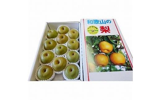 ◆先行予約◆和歌山県産 旬の梨 約4kg【2025年8月中旬以降出荷】［MG75］ 2071656 - 和歌山県高野町