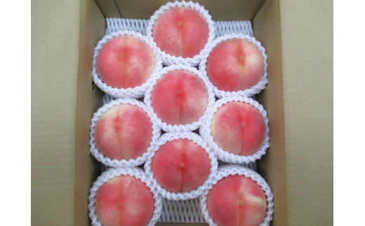 旬の桃 3kg ご家庭用 0110-2502 768335 - 山形県上山市