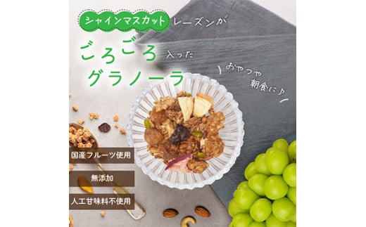 グラノーラ 食べ比べセット 60g×4袋 桃 柿 シャインマスカット ドライフルーツ入り 無添加_ 果物 フルーツ くだもの カキ もも オートミール シリアル レーズン シャインマスカットレーズン 人気 おすすめ 無添加 贈答 ギフト ロス果 エシカル 【1575388】 1696827 - 山梨県山梨市