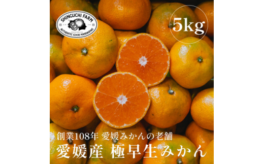 創業百八年 愛媛みかんの老舗＜極早生みかん5kg＞愛媛県川上産＜新口農園＞＜C70-34＞【1536337】 1449994 - 愛媛県八幡浜市