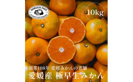 創業百八年 愛媛みかんの老舗＜極早生みかん10kg＞愛媛県川上産＜新口農園＞＜E70-35＞【1536338】