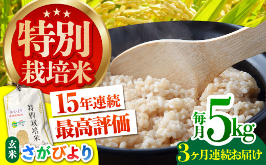 [先行予約][全3回定期便]特別栽培米「さがびより」玄米 5kg [だいちの家]特A米 特A評価 