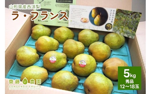 西洋梨(ラ・フランス)5kg 0037-2509 314207 - 山形県上山市
