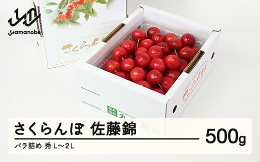 《先行予約》2024年 山形県産 さくらんぼ 佐藤錦500g バラ詰め 秀L～2L F20A-013 486392 - 山形県山辺町