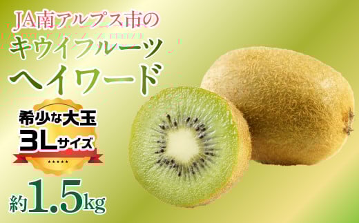 【2025年度先行予約】キウイフルーツ（ヘイワード）３Lサイズ　約1.5kg  ALPAA052 | ふるさと納税 キウイフルーツ キウイ ヘイワード 果物 フルーツ おすすめ 山梨県 南アルプス市 送料無料 | 2071880 - 山梨県南アルプス市