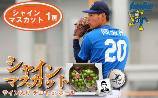 [サインボール] 先行予約 シャインマスカット 1房 徳島 インディゴソックス サイン入り ボール セット スポーツ 野球 四国アイランドリーグ 阿波市