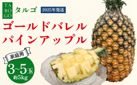 【規格外・家庭用】TARUGO　ゴールドバレルパイン　約5kg（3～5玉）2025年発送 家庭用 パイン パインアップル パイナップル タルゴ タルゴゴールド ゴールドバレル 葉ナシ ご自宅用 訳あり 国産パイン 規格外 生産者応援 農家応援 高級フルーツ 大玉 国産 やんばる 沖縄 東村 1139248 - 沖縄県東村