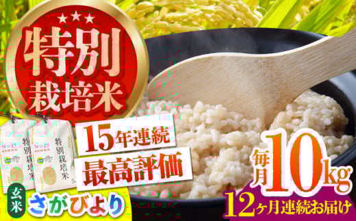 【先行予約】【全12回定期便】特別栽培米 さがびより 玄米 10kg【だいちの家】[HAG021] 342390 - 佐賀県江北町